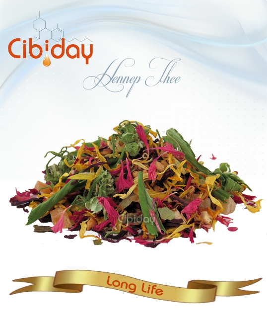 CBD Hennepthee Long Life 80gr